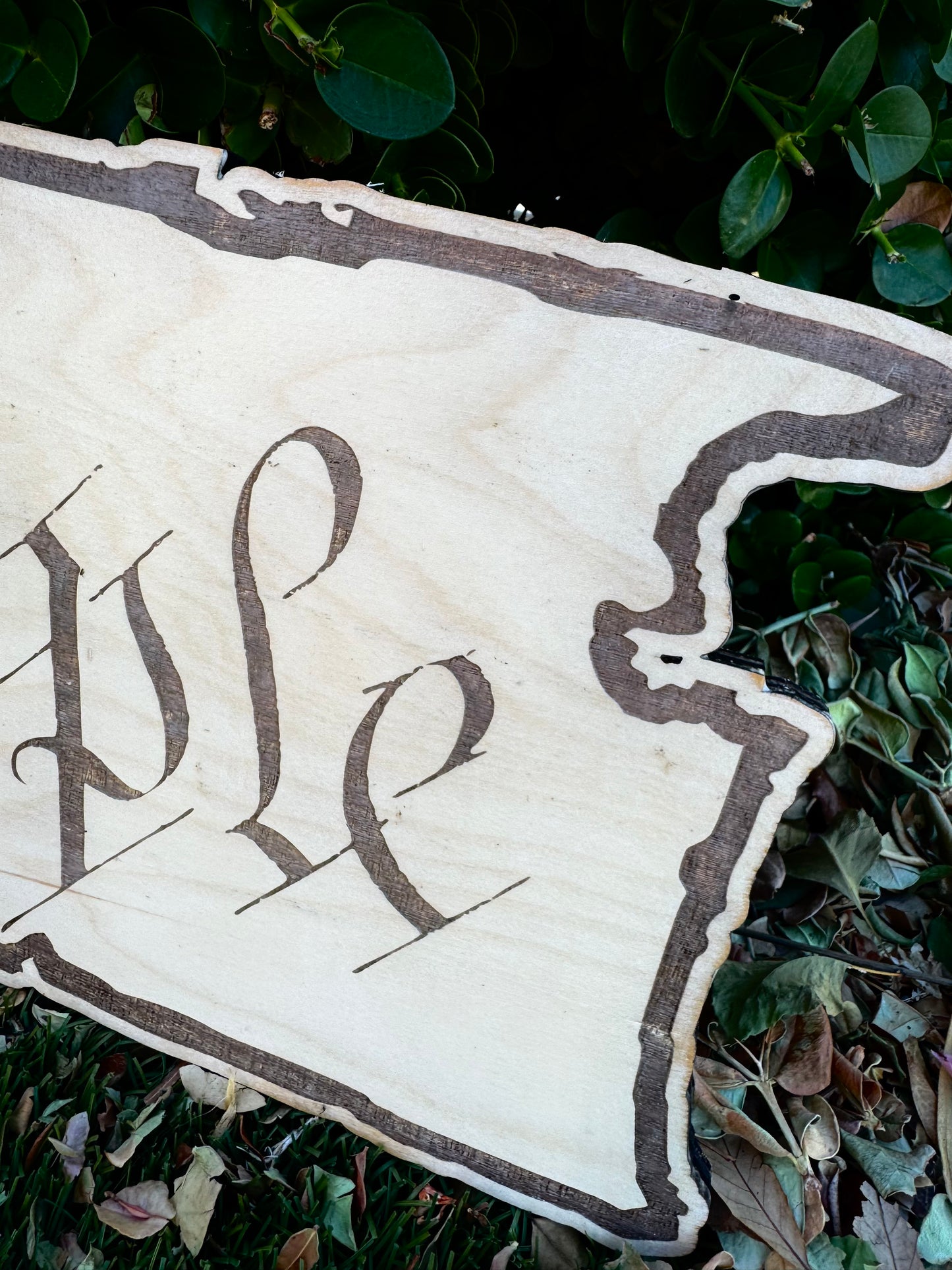 31" Wide 'We The People' Wooden Cutout – Clear Coated Finish
